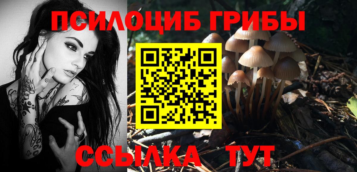 Галлюциногенные грибы Cubensis  Псилоцибиновые грибы Psilocybine cubensis  Рыбинск  Вход с VPN 